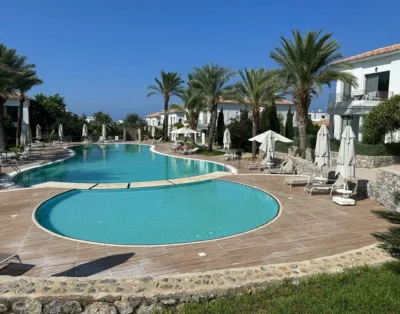 Kıbrıs Town Menekşe